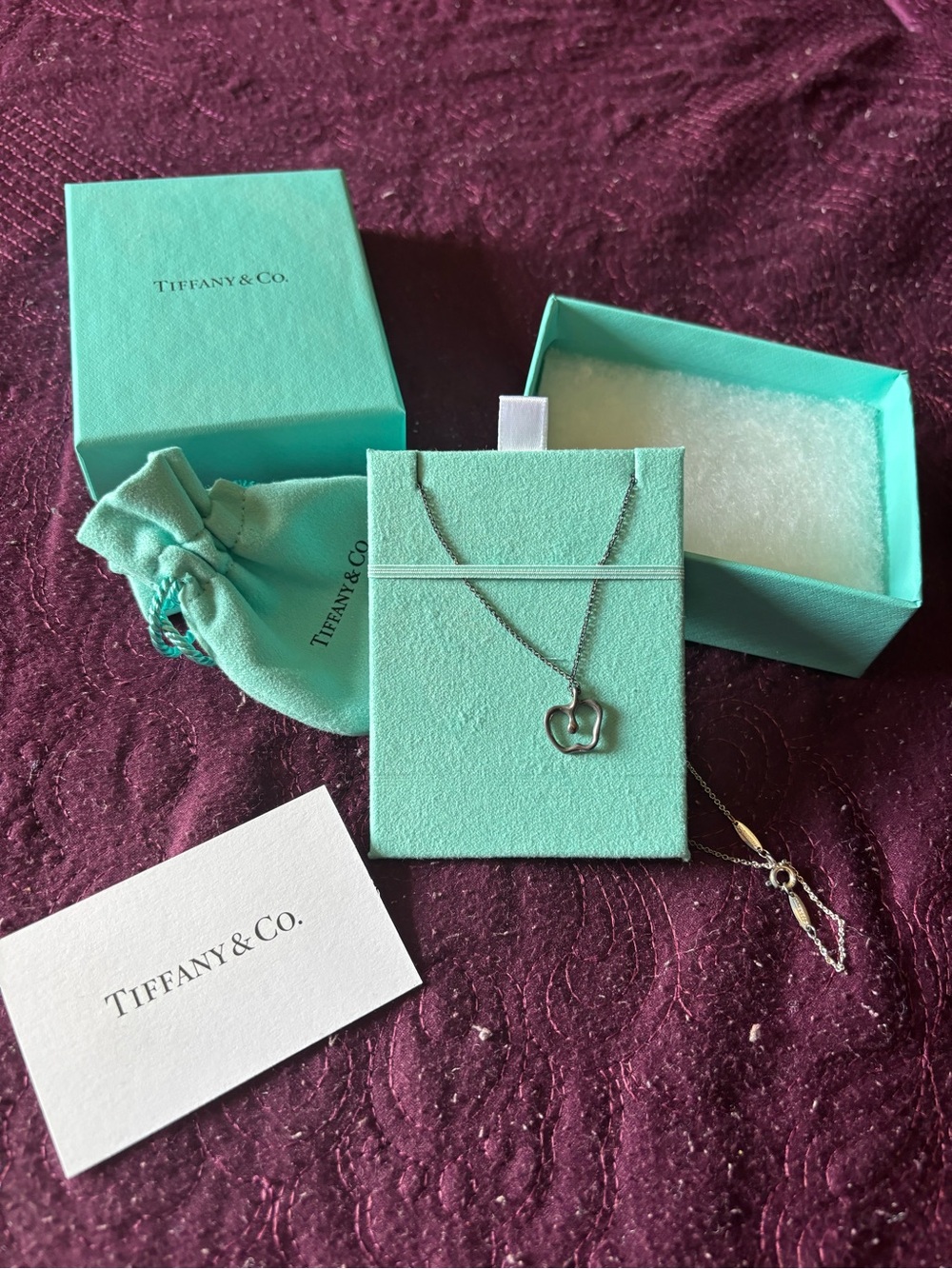 Tiffany & Co. Silver Apple Pendant Necklace with Blue-Green Box